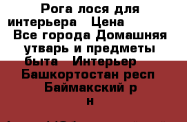 Рога лося для интерьера › Цена ­ 3 300 - Все города Домашняя утварь и предметы быта » Интерьер   . Башкортостан респ.,Баймакский р-н